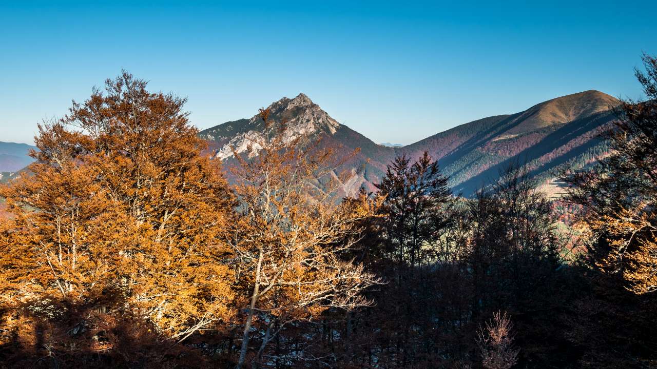 Trek Malá Fatra-60-1280